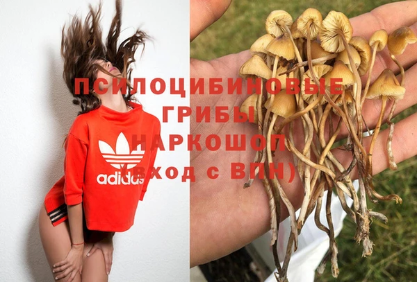 молекула духа Лагань