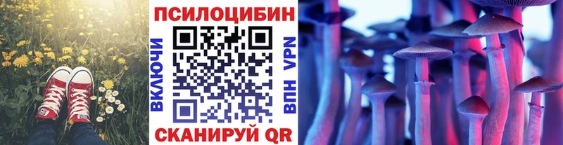 Псилоцибиновые грибы мухоморы Купить закладки Калачинск